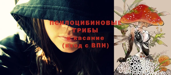 спиды Каменск-Шахтинский