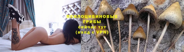марки nbome Алзамай
