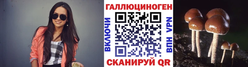 даркнет как зайти  Красноуральск  Галлюциногенные грибы Psilocybine cubensis  закладки 